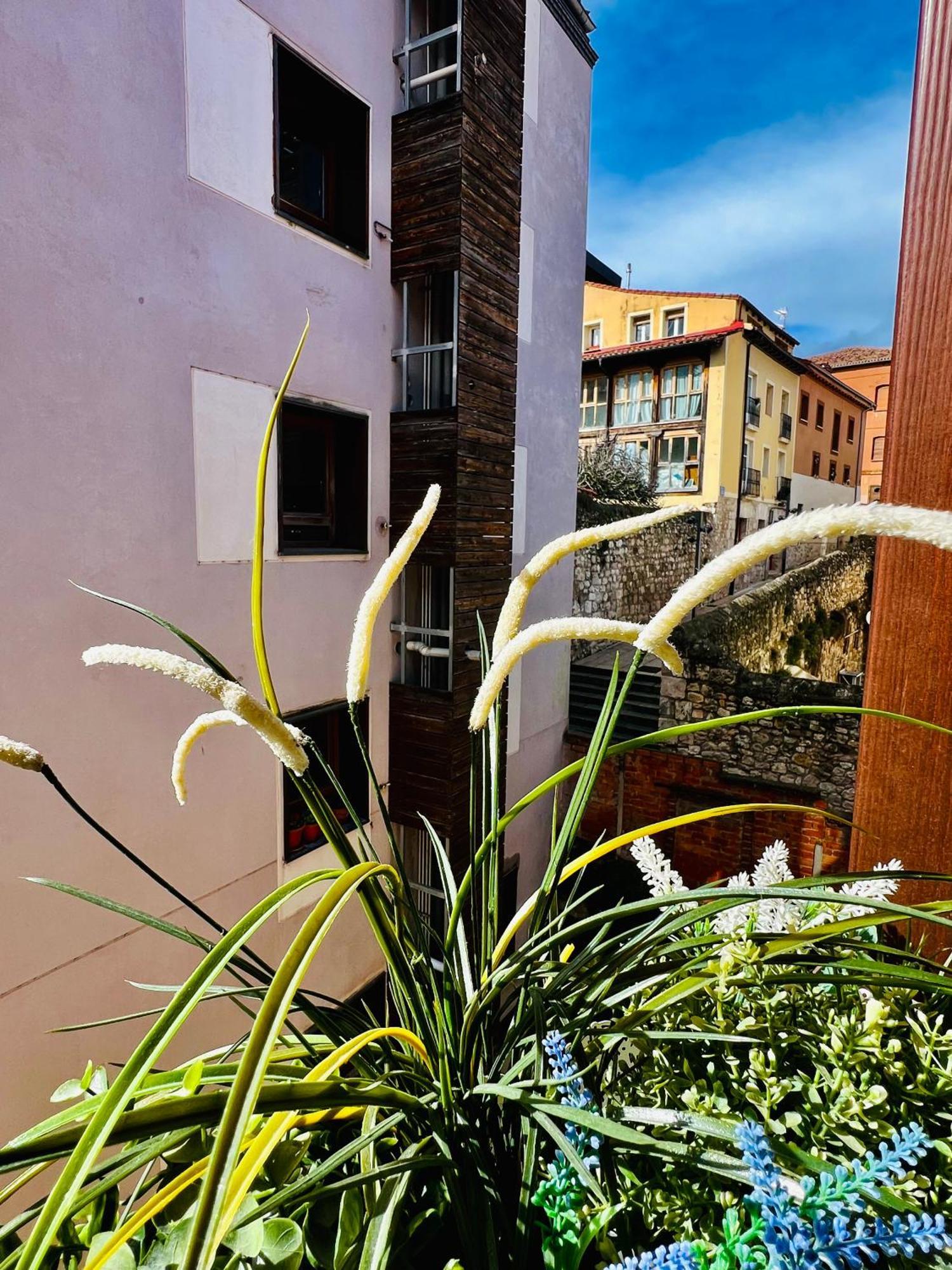 Apartment El Capricho De Claudia_ Catedral